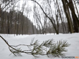 В Башкирии пообещали морозы до -31°