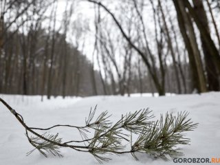 В Башкирии температура воздуха опустится до -20°