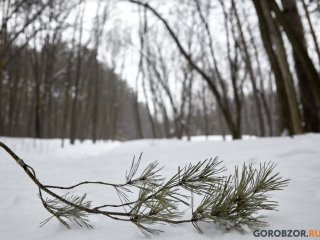 Жителей Башкирии ожидают серьезные морозы