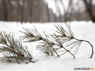 Температура воздуха в Башкирии упадет до -15°