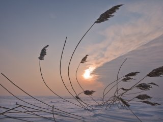 В Башкирии спасатели предупредили о штормовом ветре 