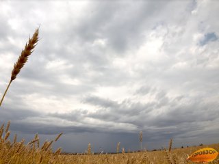 В Башкирии ожидается резкое усиление ветра