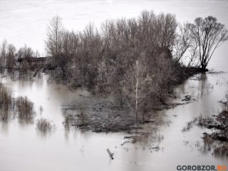 В Башкирии ожидаются заморозки