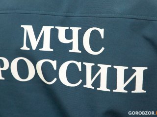 В Башкирии в лесу заблудилась целая семья