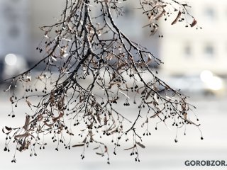 В Башкирии пообещали потепление