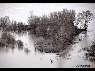 В МЧС рассказали, какие районы Уфы будут затоплены