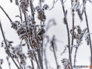 Спасатели Башкирии предупредили о заморозках до -2°