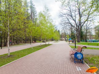 В Башкирию придет северный ветер