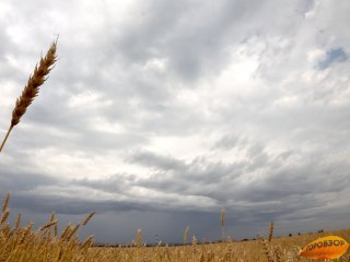 В Башкирии спасатели предупредили об опасных погодных явлениях