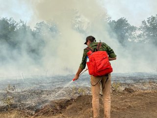 В Башкирии действуют семь очагов природных пожаров