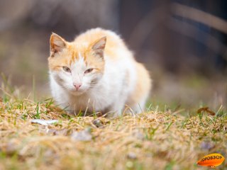 В Башкирии пообещали заморозки и прохладу