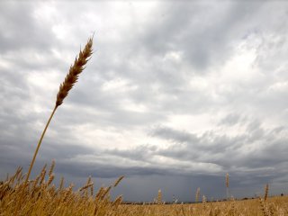 В Башкирии пообещали заморозки до -5°