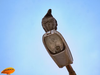 В Уфе на нескольких улицах отключат электричество