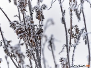 Температура воздуха в Башкирии резко упадет до -18°