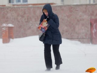 В Башкирии пообещали метели, заносы и гололед