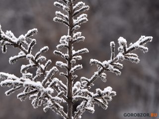 В Башкирии резко похолодает до -26°