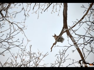 В Башкирии ударят морозы до -28°