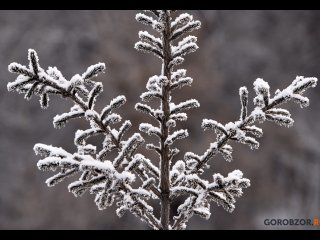 В Башкирии пообещали морозы до -28°