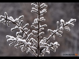 В Башкирии пообещали понижение температуры до  -25°