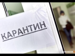 В Уфе обнаружены ввезенные опасные личинки