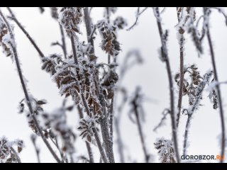 В Башкирию придут морозы до  -28°С