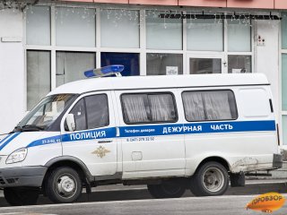 Полиция в Башкирии задержала изуродовавшего парк Победы вандала