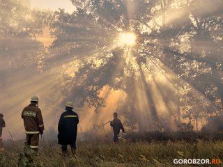 В Башкирии предупредили о тумане и высокой пожароопасности