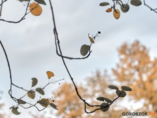 Синоптики пообещали дождливые, но теплые выходные в Башкирии