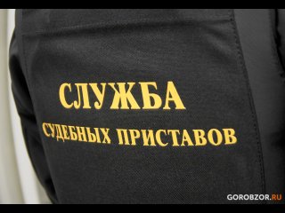 УФССП приостановит исполнительные производства в отношении мобилизованных