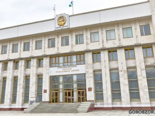 Депутаты Курултая Башкирии внесут проект закона об использовании фонограммы на концертах