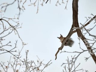 В Башкирии ударят 20-градусные морозы